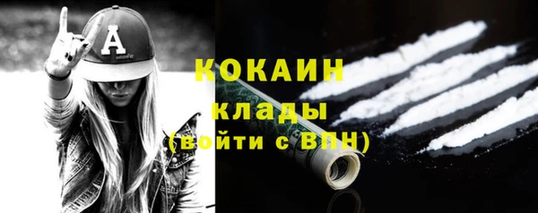 твердый Няндома