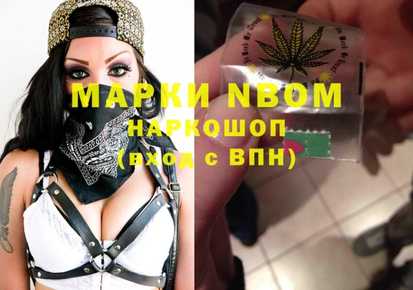 твердый Няндома