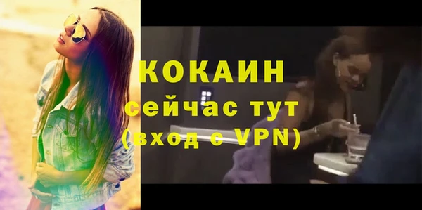 твердый Няндома