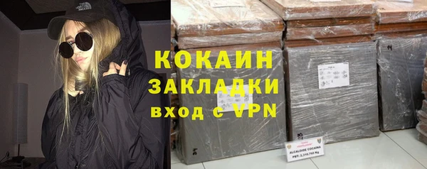 твердый Няндома