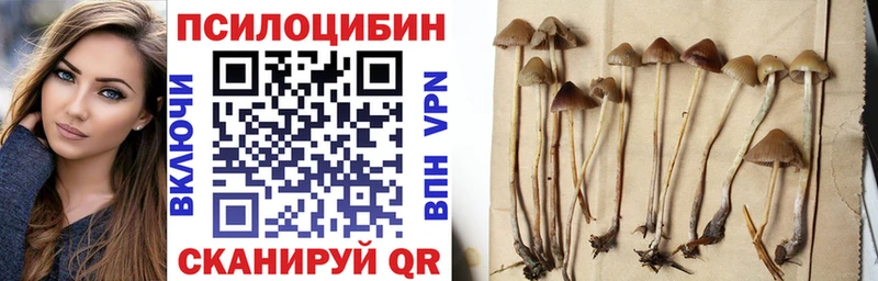 Галлюциногенные грибы мухоморы  Колпашево 