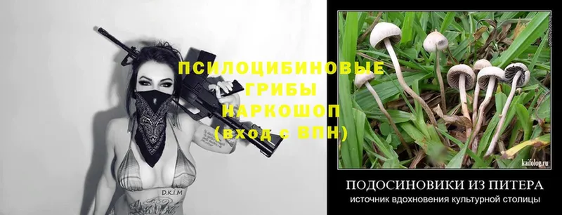 Галлюциногенные грибы Magic Shrooms  Колпашево 